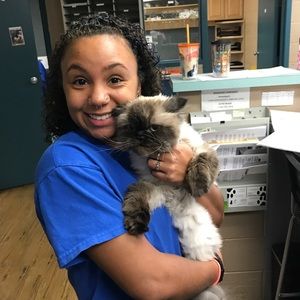 Meet your Posher, Chelsea